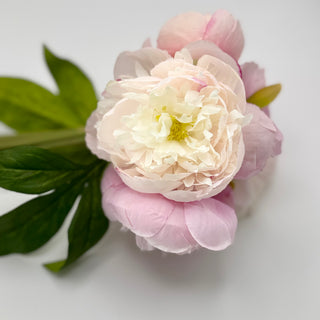 Petite Peony Faux Bouquet