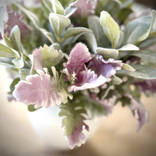 Soft Lambs Ear Faux Short Stems Arrangement