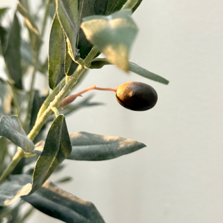Olive Stem Long Faux Branch Arrangement lifestyle view