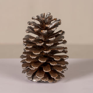 Large Natural Pine Cones