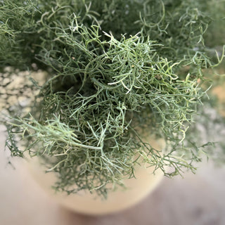 Spanish Moss Stems Faux Bouquet