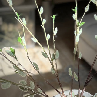 Spring Willow Bud Faux Stems Bouquet