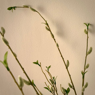 Spring Willow Bud Faux Stems Bouquet