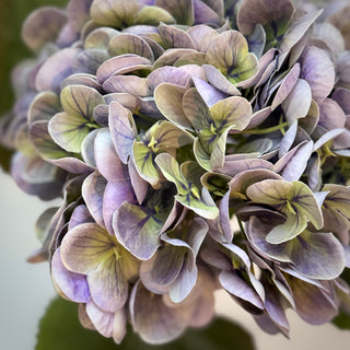 Luxury Real Touch Hydrangea Stem