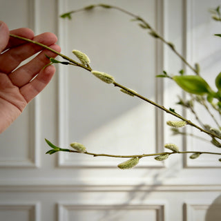 Spring Willow Bud Faux Stems Bouquet