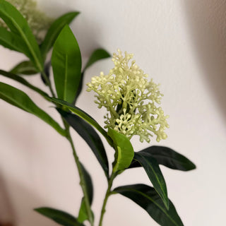 Luxury Skimmia Real Touch Faux Stem