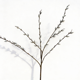 Winter Willow Stem - Neutral Floral Decor