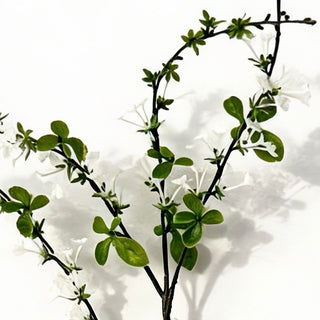White Blossom Flowering Real Touch Faux Stem