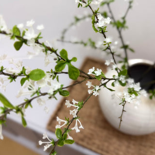 White Blossom Flowering Real Touch Faux Stem