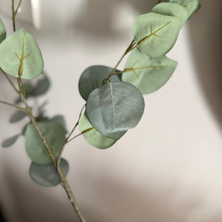 Eucalyptus Populous Long Faux Stem - Styled in vase