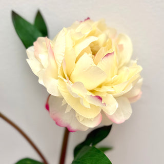 Luxury Real Touch Peony Faux Stem in Cream
