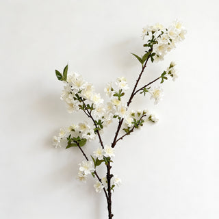 Winter Willow Stem - Neutral Floral Decor