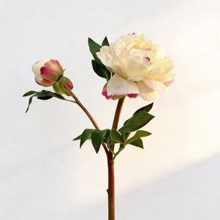 Luxury Real Touch Peony Faux Stem in Cream